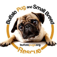 Buffalo Pug & Small Breed Rescue, Inc.